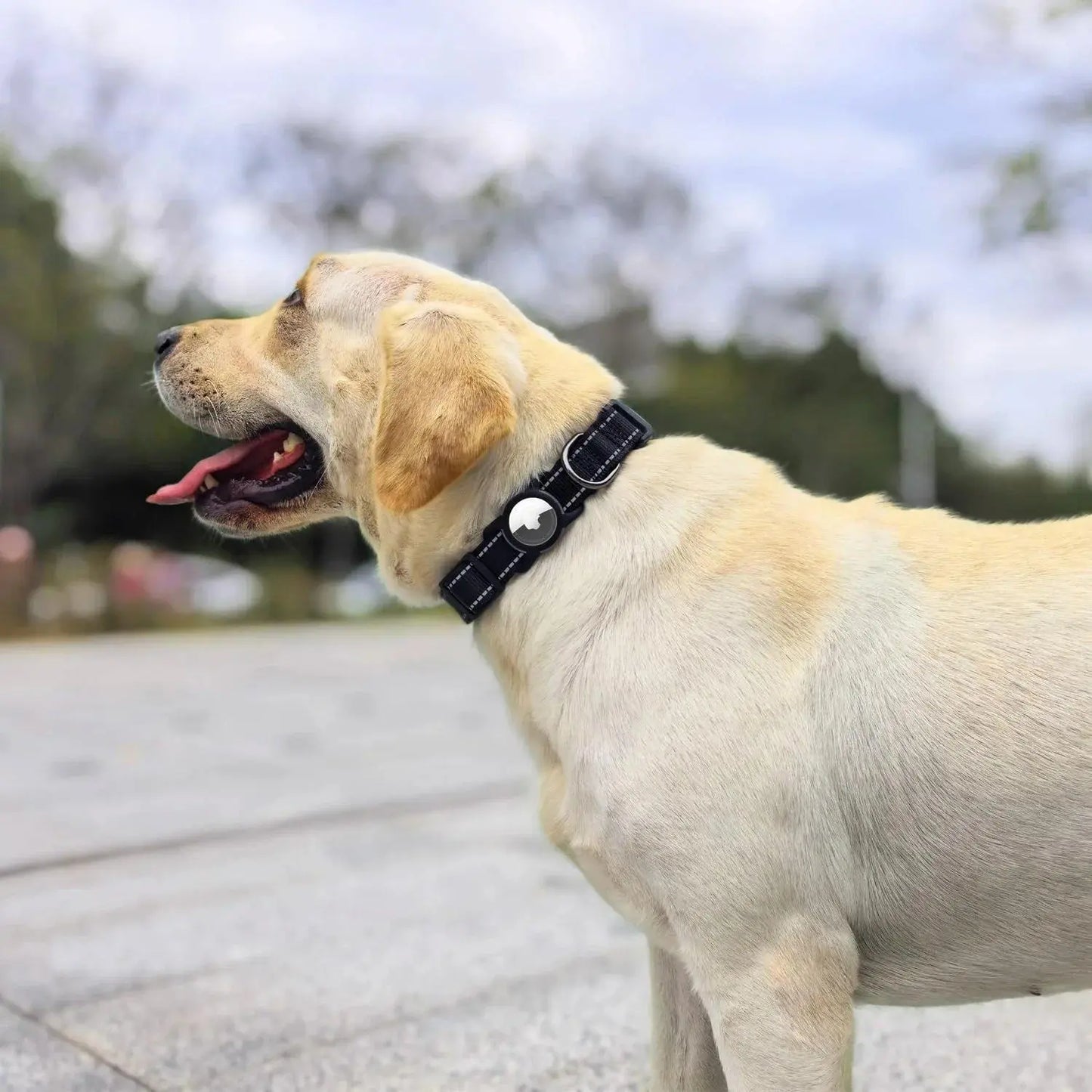 Premium Adjustable Dog Collar with Waterproof AirTag Case, Reflective Soft Padding for Large Dogs